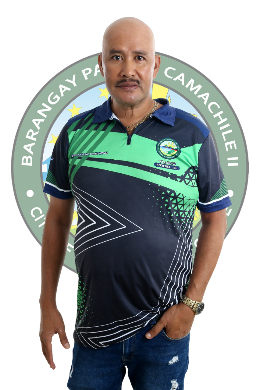Hon. Rodel E. Tijing